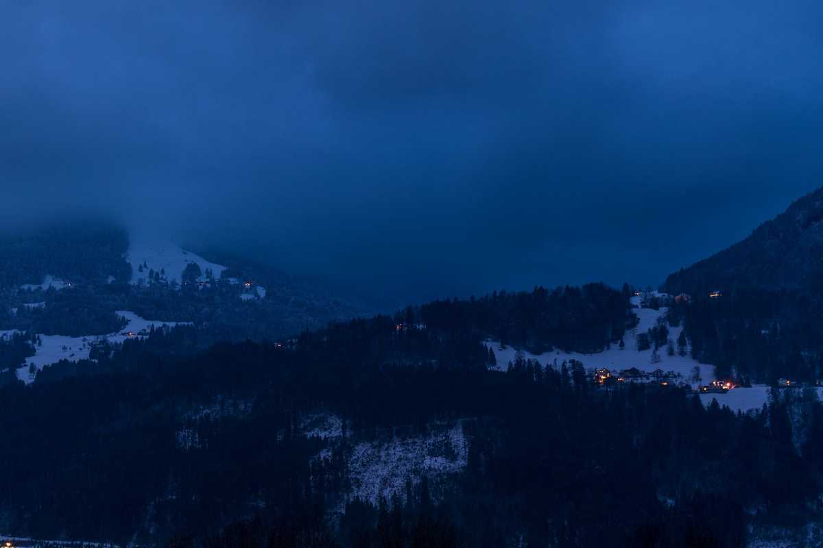 ALPINE CANOPY