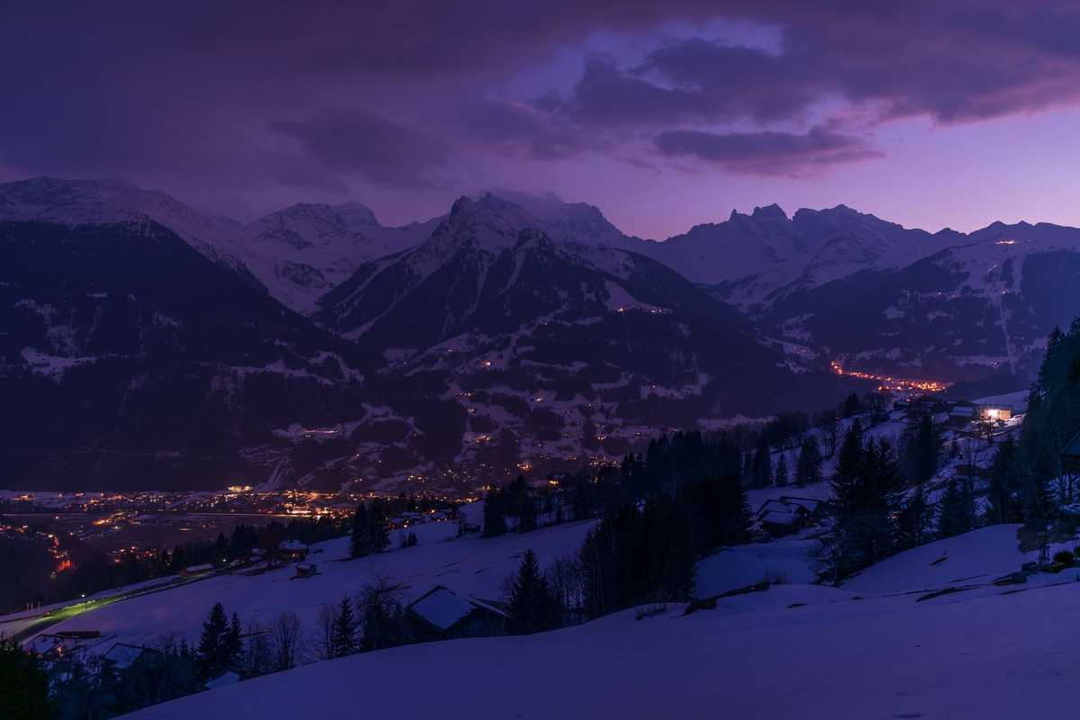 PURPLE HAZE